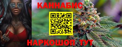 Альфа ПВП Новодвинск