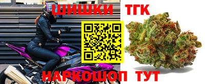 мдпв Новозыбков