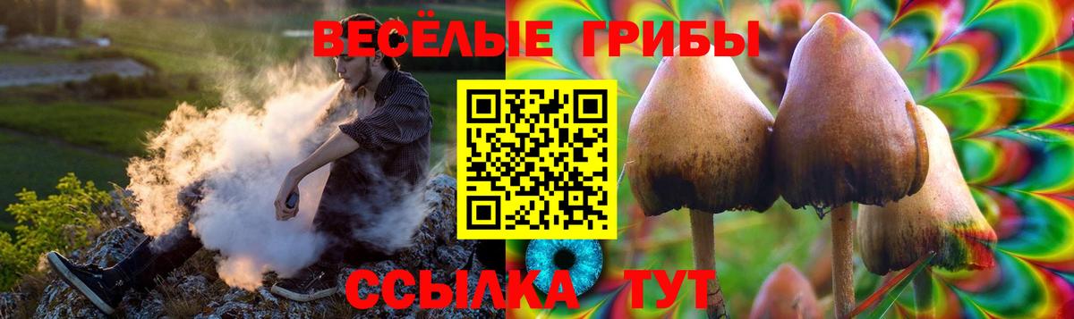 Сальск  Псилоцибиновые грибы MAGIC MUSHROOMS  Псилоцибиновые грибы прущие грибы  Вход с VPN 